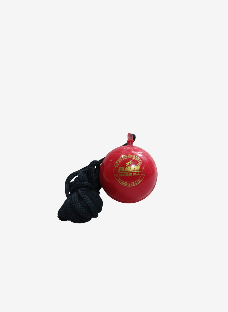 Flash Hanging Ball